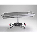 buy Battery Operated Shower Trolley