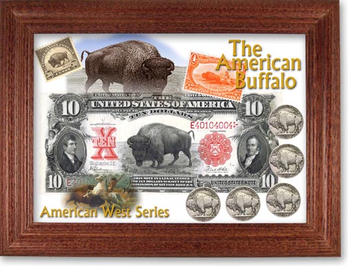 American Buffalo Buffalo Nickel Collector Frame LARGE
