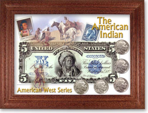 American Indian Buffalo Nickel and Indian Cent Collector Frame LARGE
