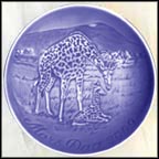 Giraffe With Calf Collector Plate by Finn Clausen MAIN