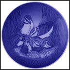 Blue Tits With Chicks Collector Plate by Allan Therkelsen MAIN