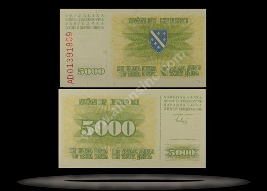 Bosnia-Herzegovina Banknote, 5000 Dinara, 25.1.1993, P#16a MAIN