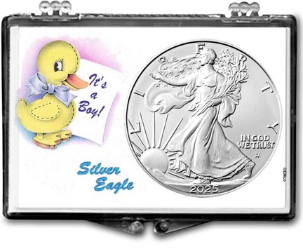 It's A Boy, Duck Motif, American Silver Eagle Gift Display LARGE