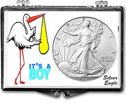 2025 It's A Boy, Stork Motif, American Silver Eagle Gift Display LARGE