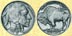 Buffalo Nickels