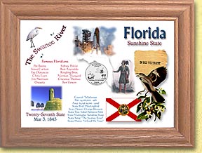 Florida State Quarter Frame MAIN