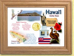 Hawaii State Quarter Frame - with Gold Plated State Quarter MAIN