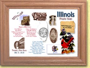 Illinois State Quarter Frame MAIN