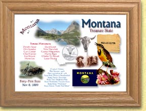 Montana State Quarter Frame MAIN
