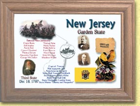 New Jersey State Quarter Frame MAIN