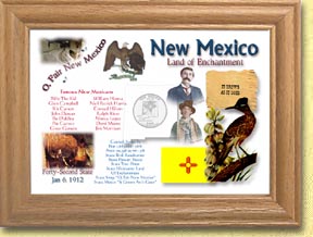 New Mexico State Quarter Frame MAIN