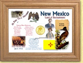 New Mexico State Quarter Frame - with Gold Plated State Quarter MAIN
