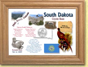 South Dakota State Quarter Frame MAIN
