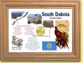 South Dakota State Quarter Frame - with Gold Plated State Quarter MAIN