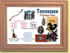 Tennessee State Quarter Frame MAIN