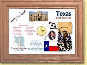 Texas State Quarter Frame - with Gold Plated State Quarter MAIN