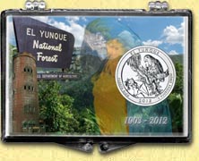 El Yunque National Forest Snaplock Display MAIN