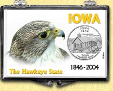 Iowa - Hawkeye State Snaplock Display MAIN