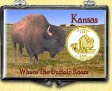 Kansas - Where The Buffalo Roam Snaplock Display - with Gold Plated State Quarter MAIN