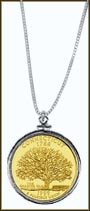 Connecticut Quarter Sterling Silver Necklace - with Gold Plated State Quarter MAIN