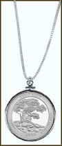 Great Basin National Park Quarter Sterling Silver Necklace MAIN