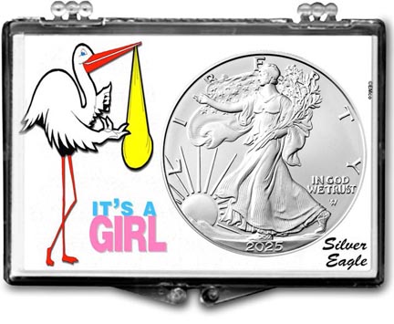 It's A Girl, Stork Motif, American Silver Eagle Gift Display LARGE