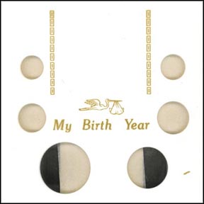 Capital Plastics #GA6SEBY, My Birth Year, Cent thru Silver Eagle, White MAIN