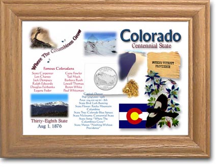 Edgar Marcus & Co Coin Frame - Colorado MAIN