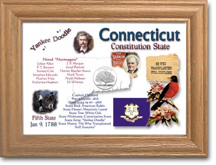 Edgar Marcus & Co Coin Frame - Connecticut MAIN