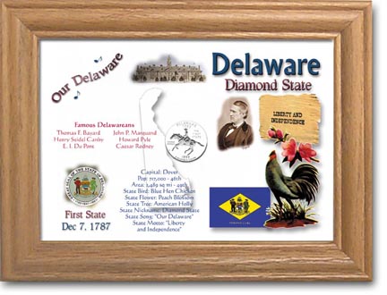 Edgar Marcus & Co Coin Frame - Delaware MAIN