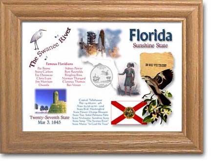 Edgar Marcus & Co Coin Frame - Florida MAIN
