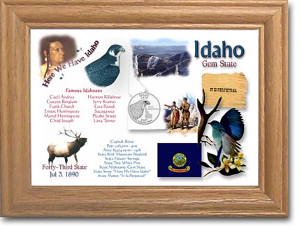 Edgar Marcus & Co Coin Frame - Idaho MAIN