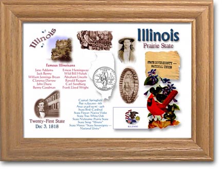 Edgar Marcus & Co Coin Frame - Illinois MAIN