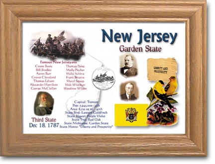 Edgar Marcus & Co Coin Frame - New Jersey MAIN