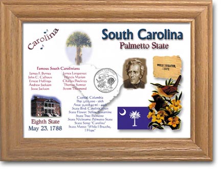 Edgar Marcus & Co Coin Frame - South Carolina MAIN