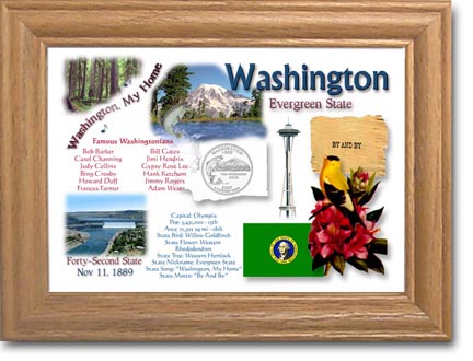 Edgar Marcus & Co Coin Frame - Washington MAIN