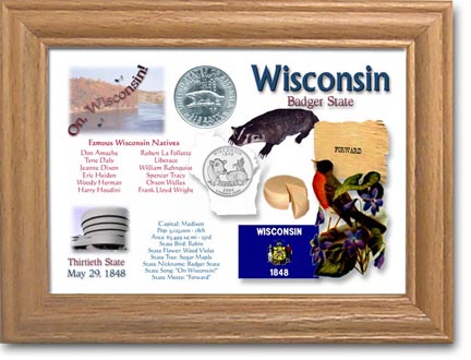 Edgar Marcus & Co Coin Frame - Wisconsin MAIN