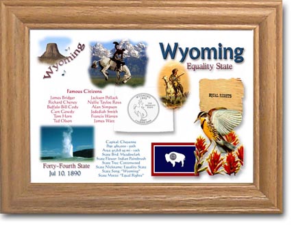 Edgar Marcus & Co Coin Frame - Wyoming MAIN