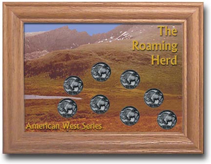 Edgar Marcus & Co Coin Frame - The American Indian MAIN