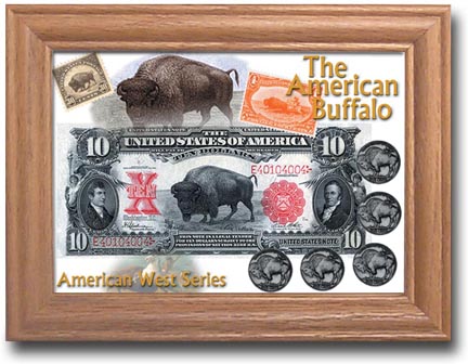 Edgar Marcus & Co Coin Frame - The American Buffalo MAIN