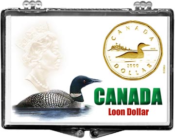 Edgar Marcus Snaplock Display - Canadian Loon Dollar MAIN