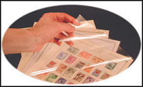 Scott Page Protectors: U. S. National/Specialty - Package of 25 MAIN