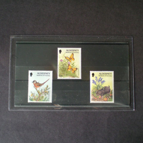 Supersafe Philatelic Holders, Standard Weight - Approval Cards MAIN