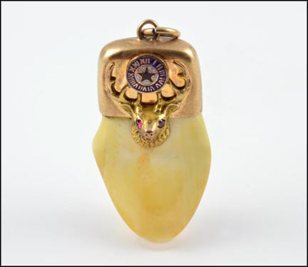 Elks Tooth Pendant in 10K Yellow Gold MAIN