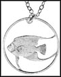 Queen Angel Fish (Bermuda) MAIN