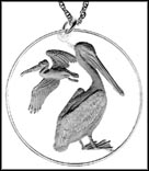 Brown Pelican (British Virgin Islands), with rim MAIN