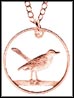 Great Caiman Thrush (Cayman Islands) MAIN