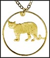 Pampas Cat (Argentina) MAIN