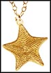 Starfish (Bahamas), without rim MAIN