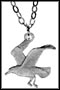 Bonaparte Tern (Barbados), without rim MAIN